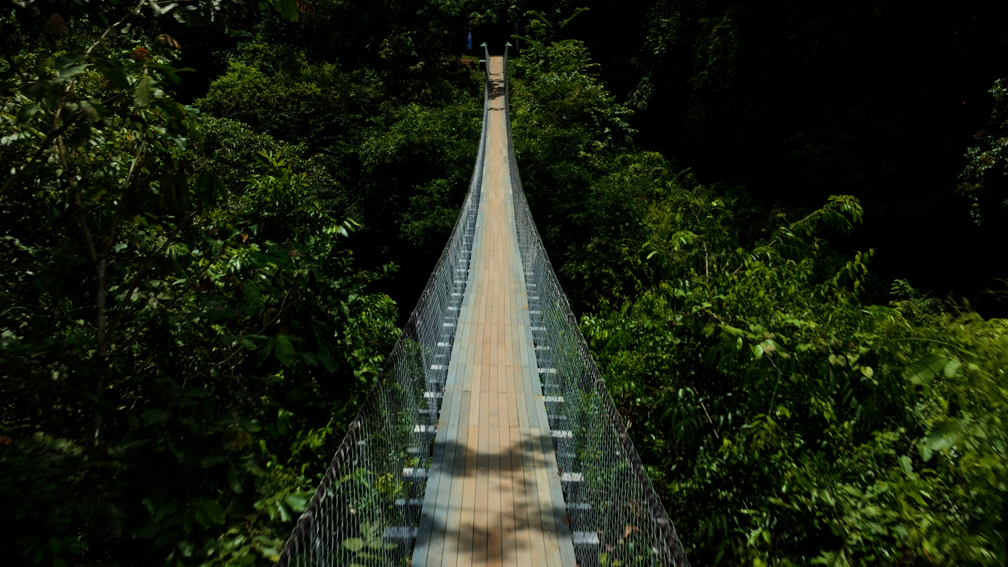 Puente Boquerón