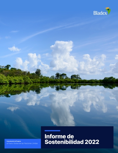 portada informe de sostenibilidad